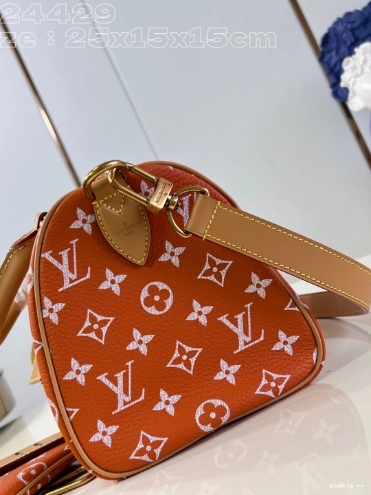 WIS Louis SPEEDY 25 Vuitton 1031